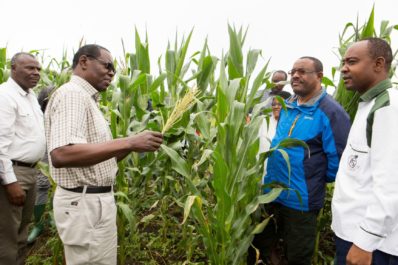 CALA – Calling Leaders driving an Agriculture Transformation in Africa